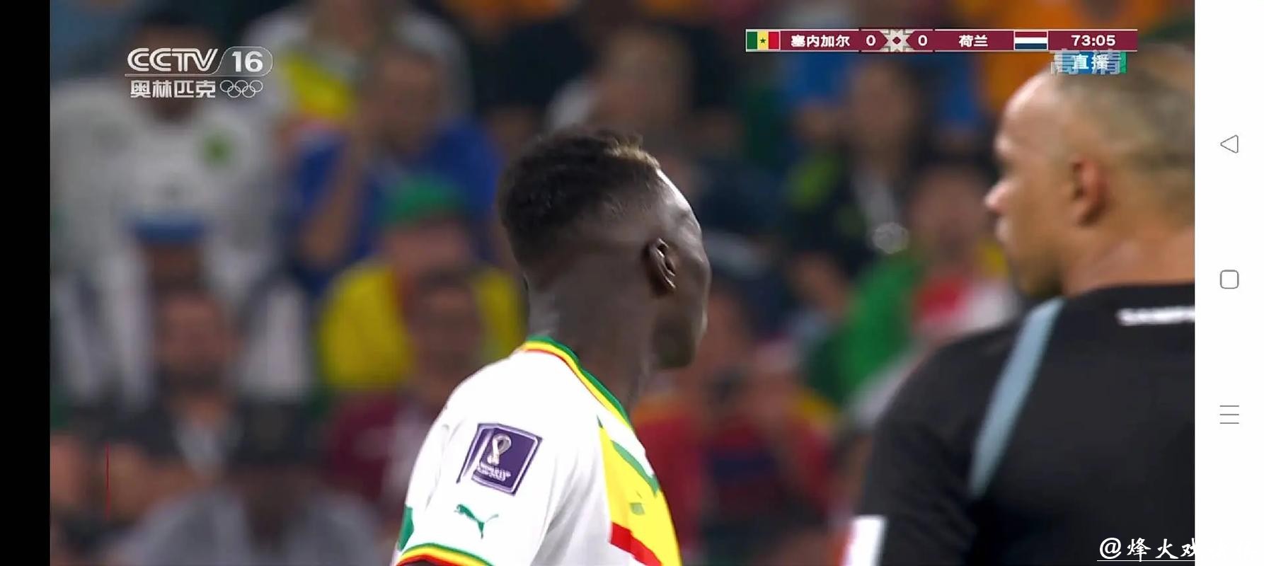 高清世界杯视频直播在线观看平台推荐